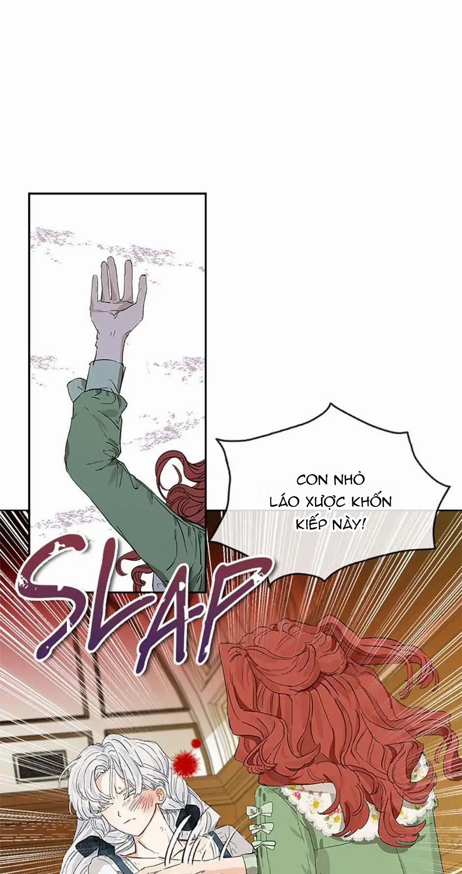 Cuộc Hôn Nhân Bất Đắc Dĩ Của Tôi 1.1 trang 13