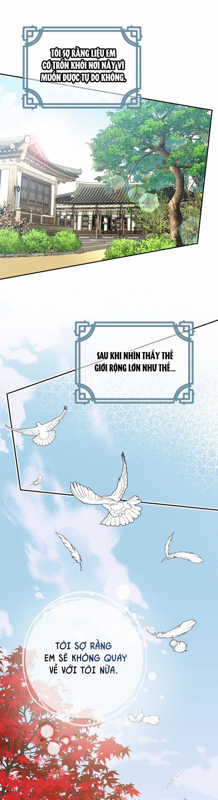 CUỘC HÔN NHÂN ĐÁNH CẮP CỦA HỒ LY 28 trang 4