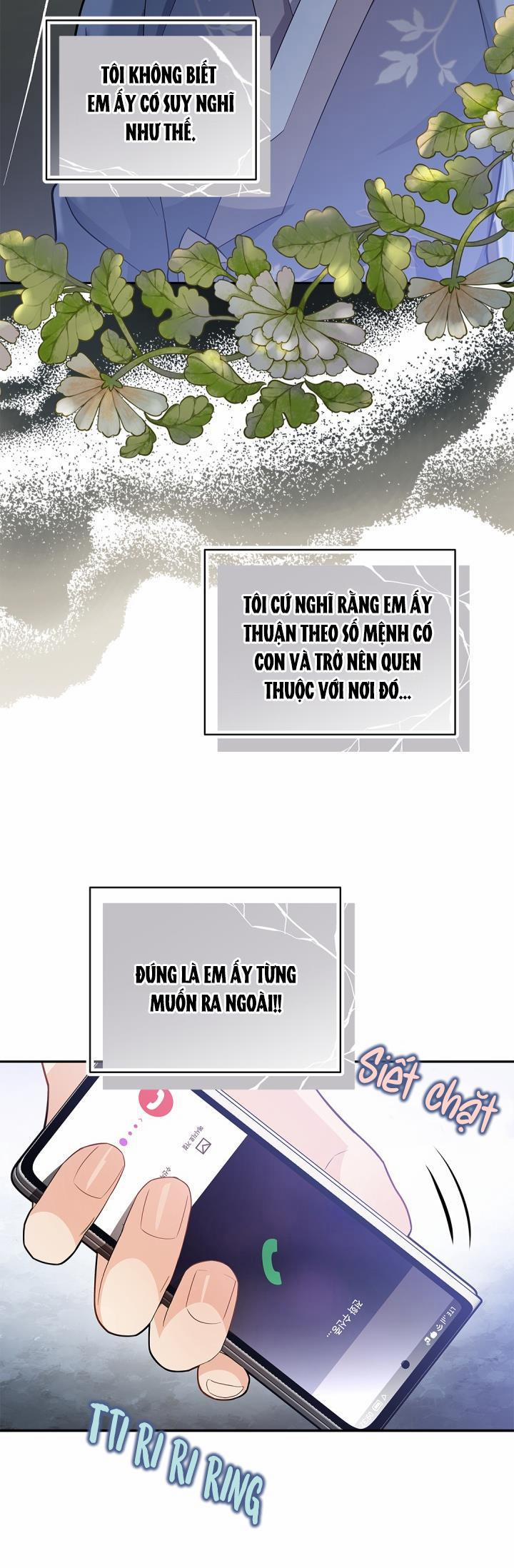 CUỘC HÔN NHÂN ĐÁNH CẮP CỦA HỒ LY 29 trang 5