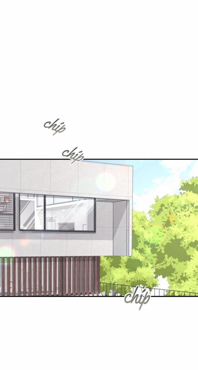 Cuộc Hôn Nhân Hoàn Hảo 16.3 trang 0