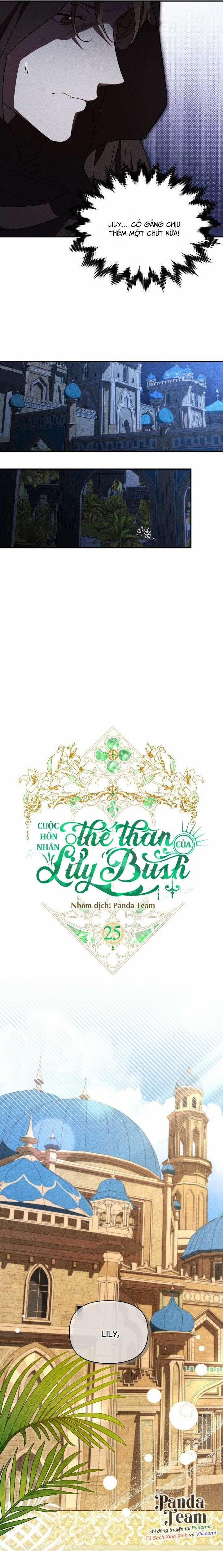 Cuộc Hôn Nhân Thế Thân Của Lily Bush 25 trang 8