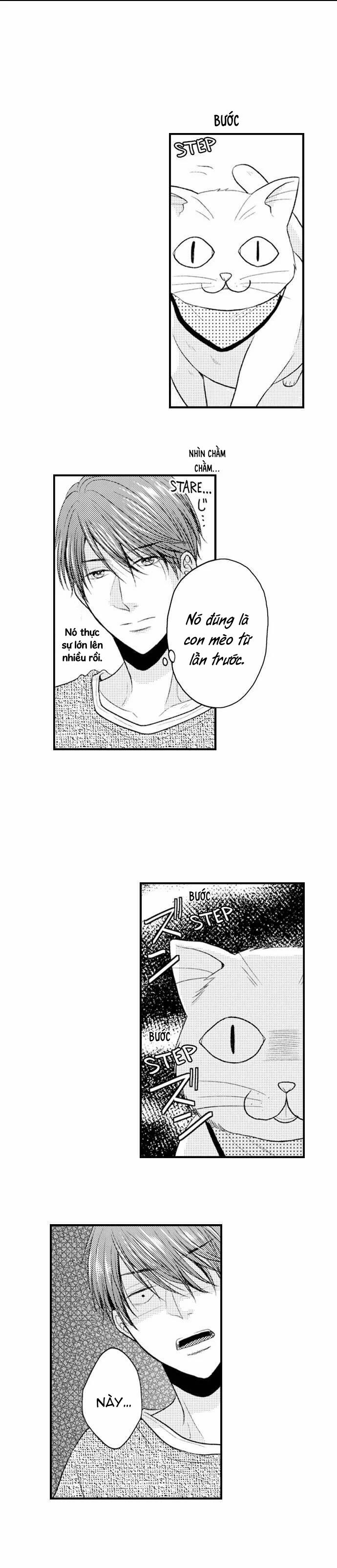 Cuộc Hôn Nhân Tình Đầu 6.1 trang 2