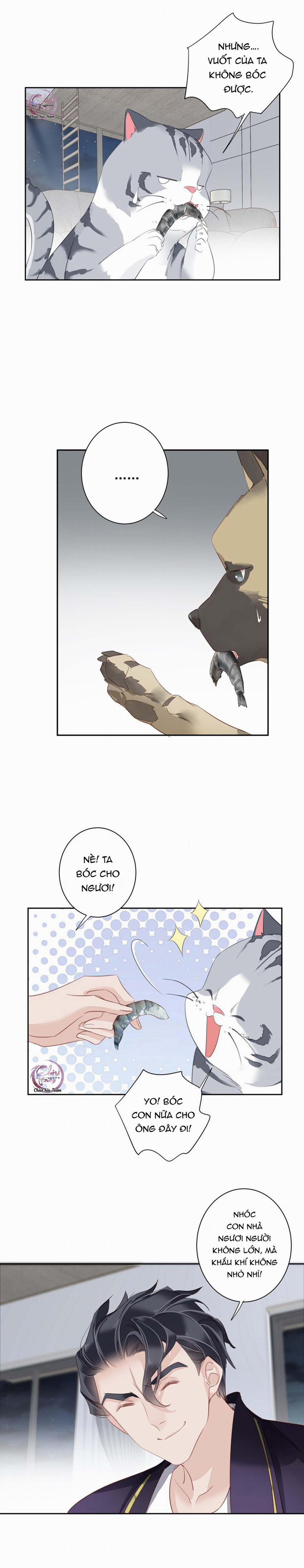 Cuộc Mai Mối Vượt Giống Loài 54 trang 7