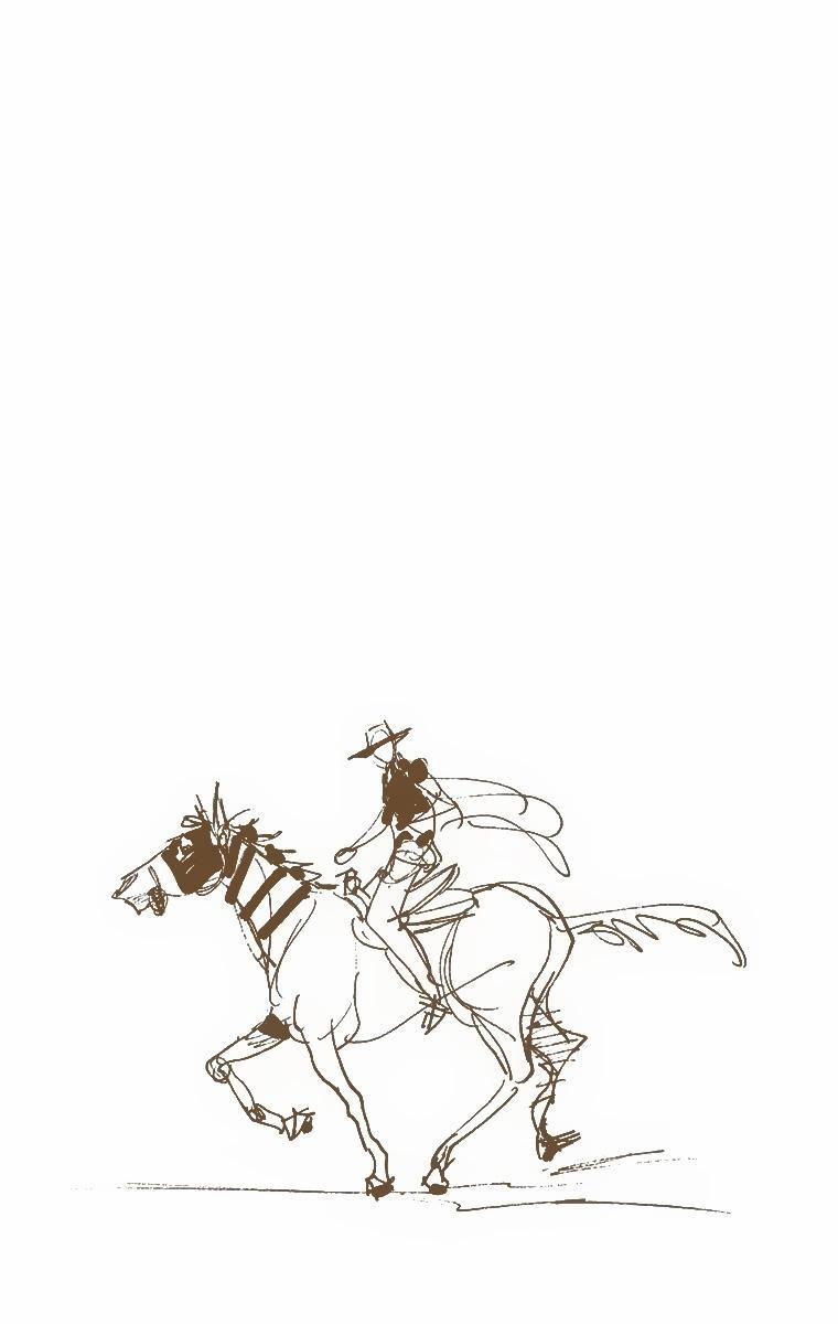 Cuộc Phiêu Lưu Bí Ẩn Phần 7: Steel Ball Run 7 trang 0