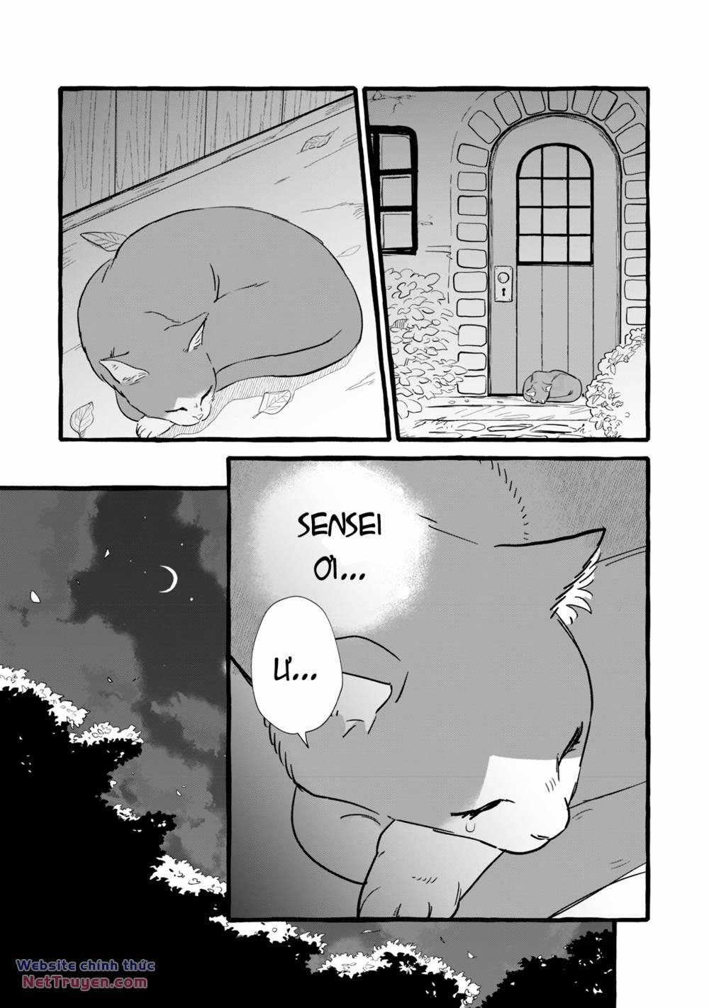 Cuộc Sống Khi Làm Hầu Gái Cho Pháp Sư Hướng Nội. 10 trang 19