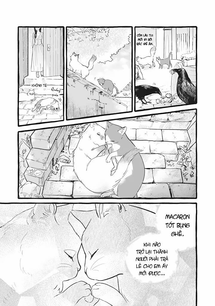 Cuộc Sống Khi Làm Hầu Gái Cho Pháp Sư Hướng Nội. 11 trang 7