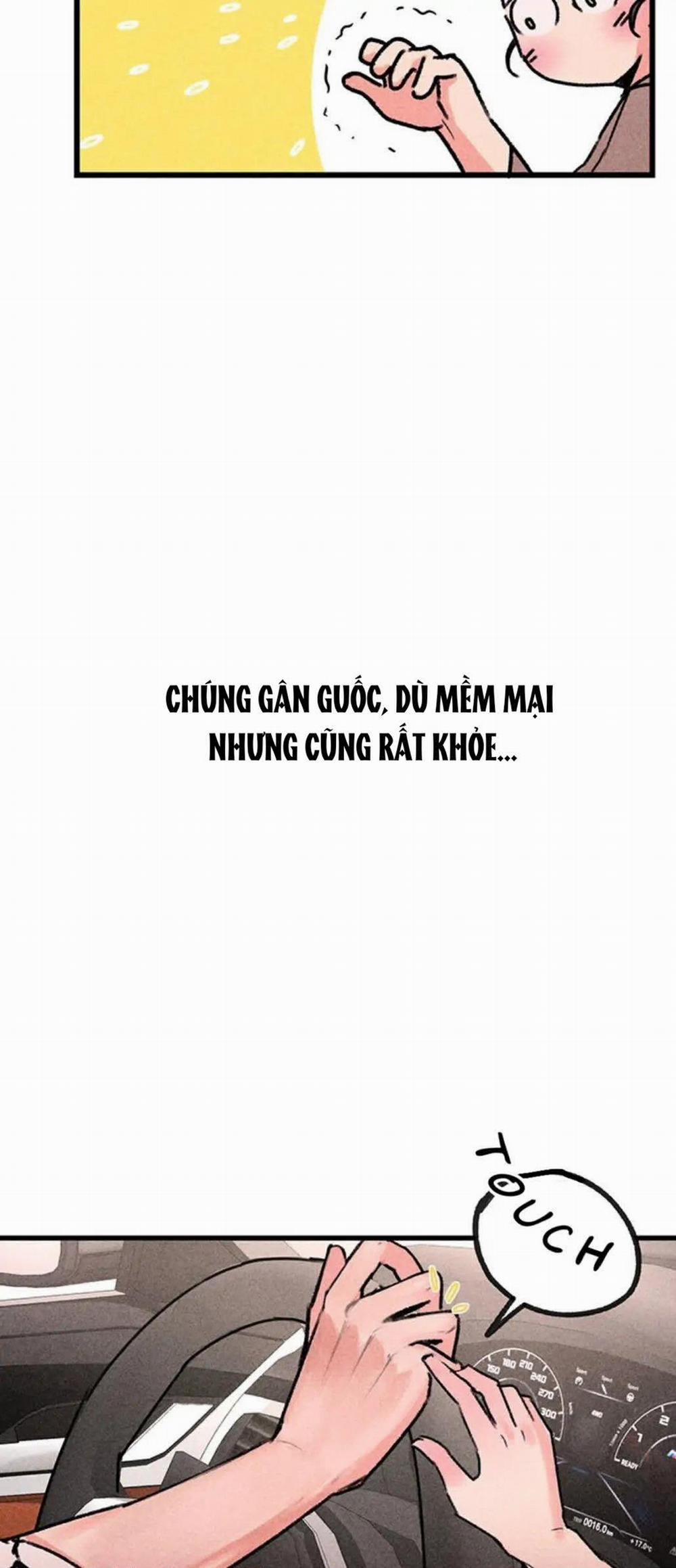 Cuộc Sống Riêng Của Chị Tôi 1 trang 24