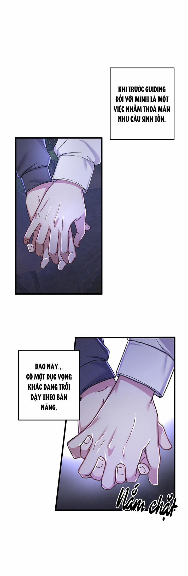 Cuộc Sống Thường Nhật Của Một Guide Phổ Quát 15 trang 15