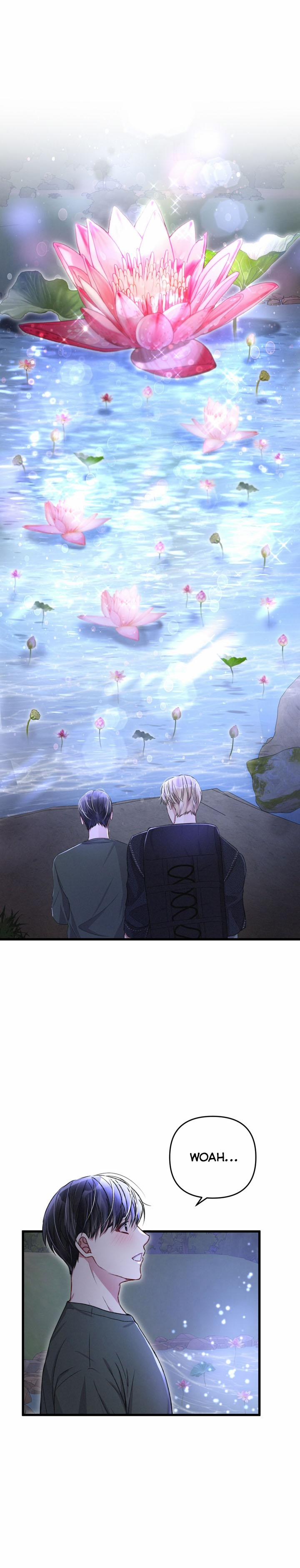 Cuộc Sống Thường Nhật Của Một Guide Phổ Quát 22 trang 15