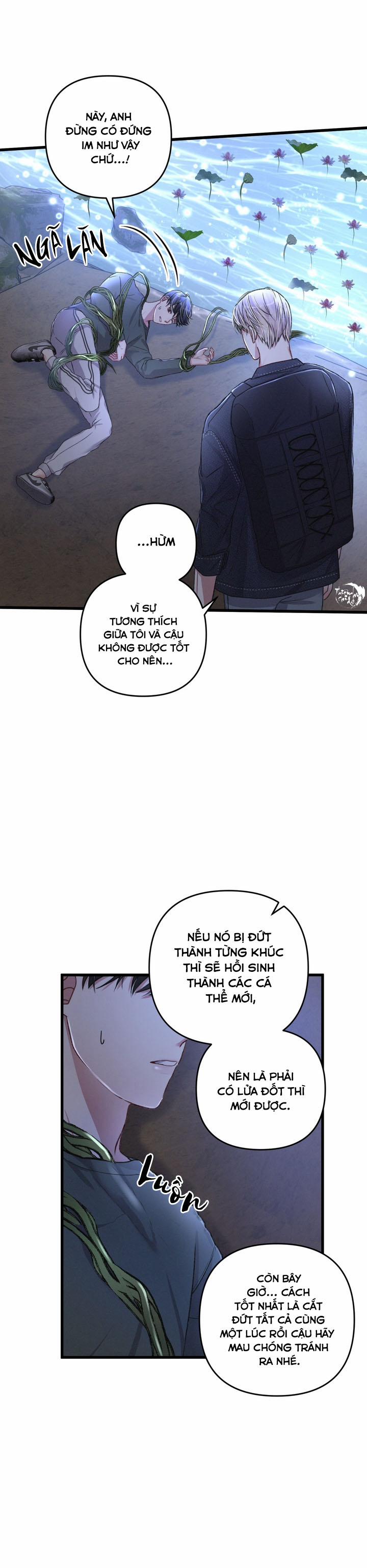 Cuộc Sống Thường Nhật Của Một Guide Phổ Quát 22 trang 21