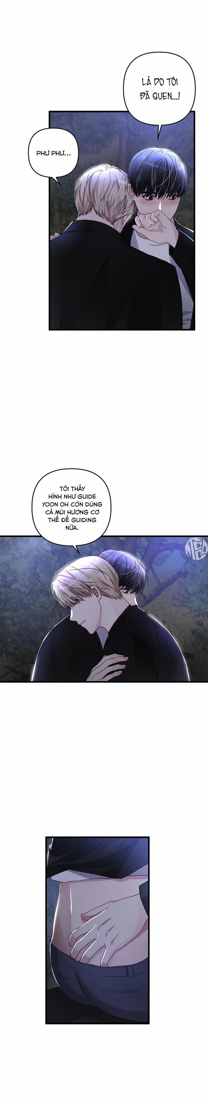 Cuộc Sống Thường Nhật Của Một Guide Phổ Quát 31 trang 5