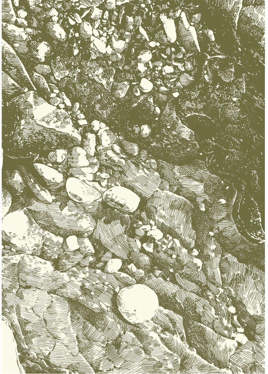 Cuộc Sống Tí Hon Trong Rừng Sâu. 53 trang 2