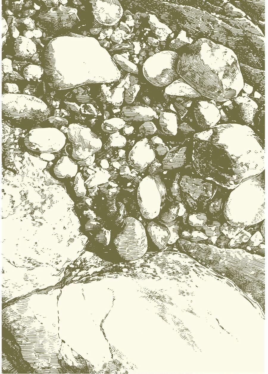 Cuộc Sống Tí Hon Trong Rừng Sâu. 53 trang 3