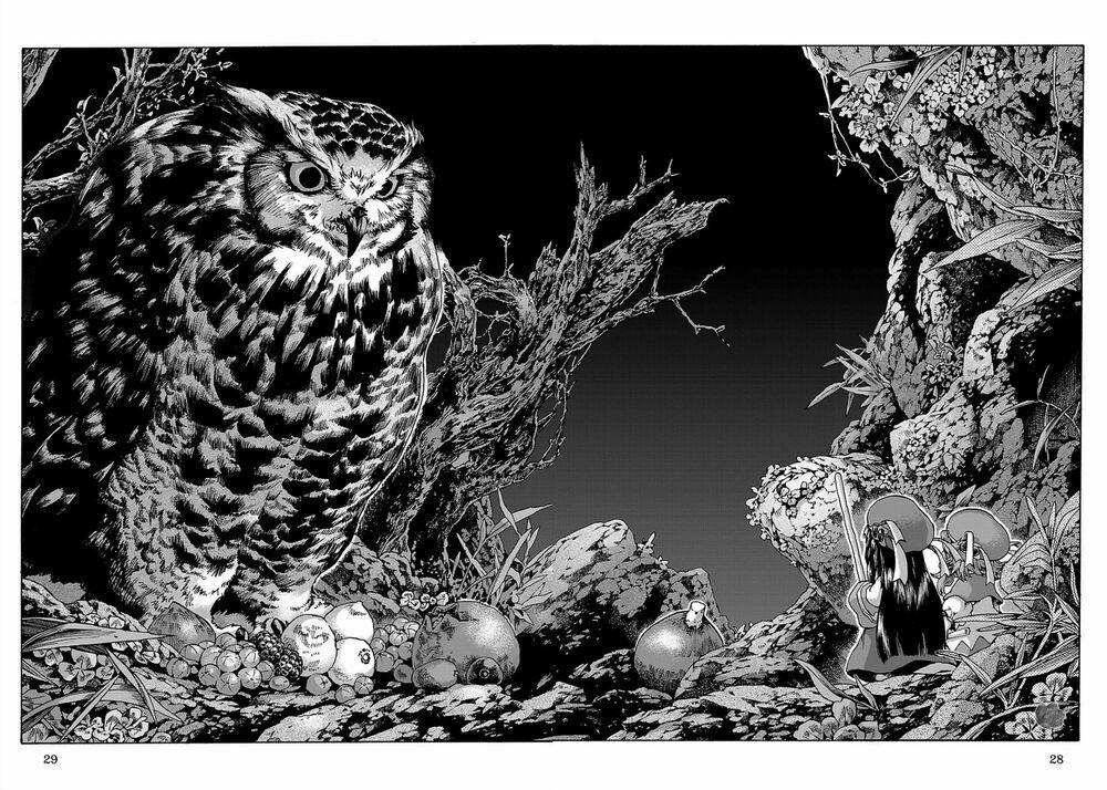 Cuộc Sống Tí Hon Trong Rừng Sâu. 9 trang 24