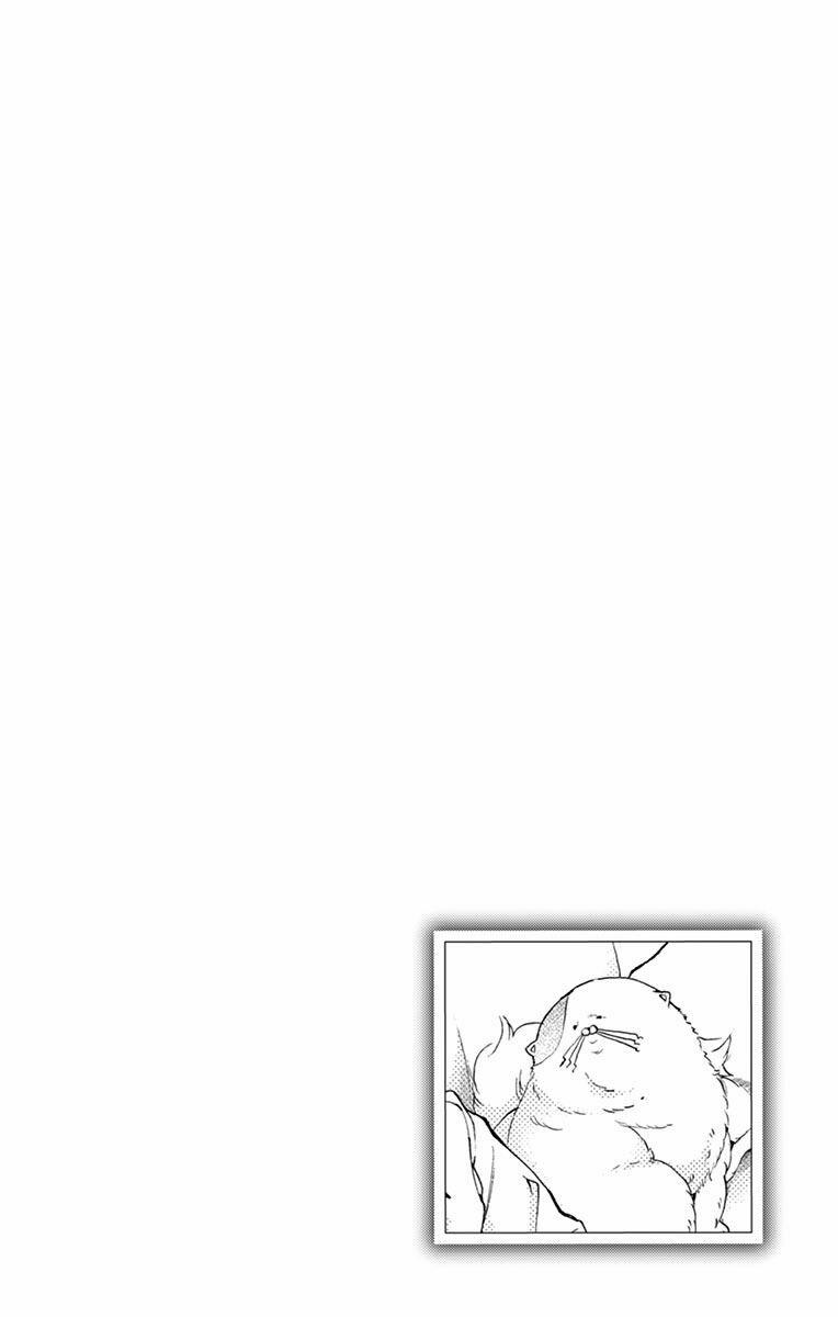 Cuộc Tình Cà Rốt 8 trang 7