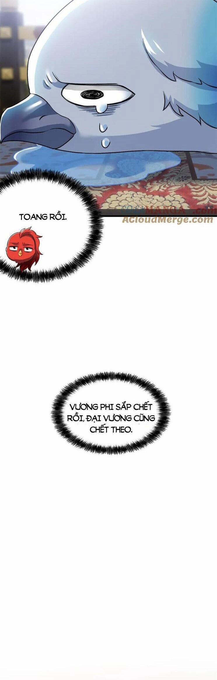 Cường Giả Đến Từ Trại Tâm Thần 291 trang 16