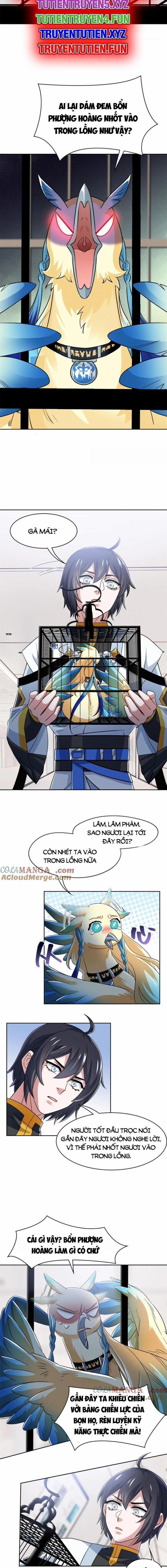 Cường Giả Đến Từ Trại Tâm Thần 310 trang 4