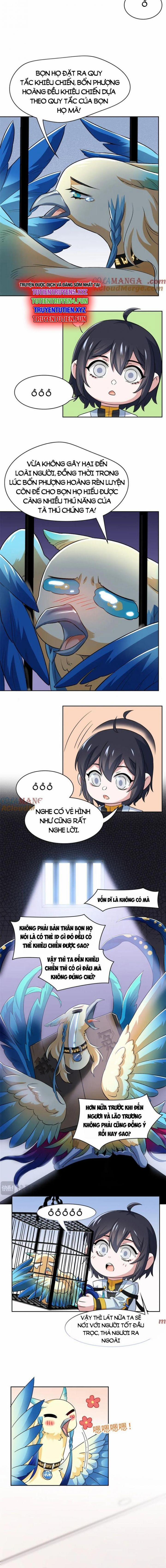 Cường Giả Đến Từ Trại Tâm Thần 310 trang 5