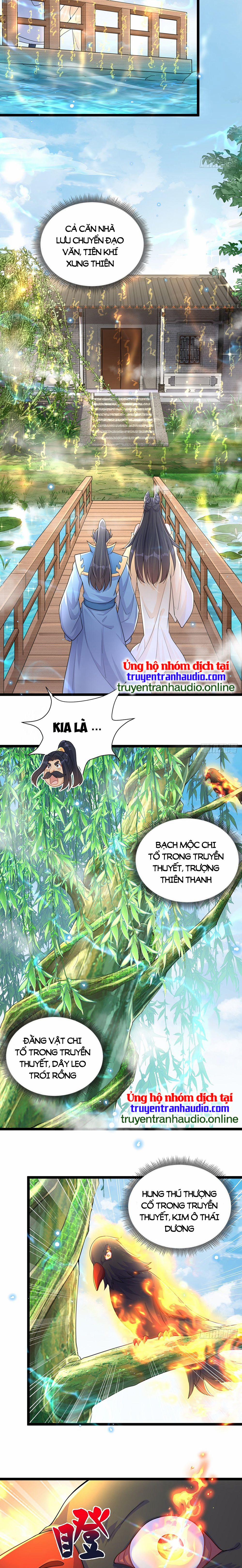 Cường Giả Tuyệt Thế Chỉ Muốn Làm Ruộng 3 trang 3