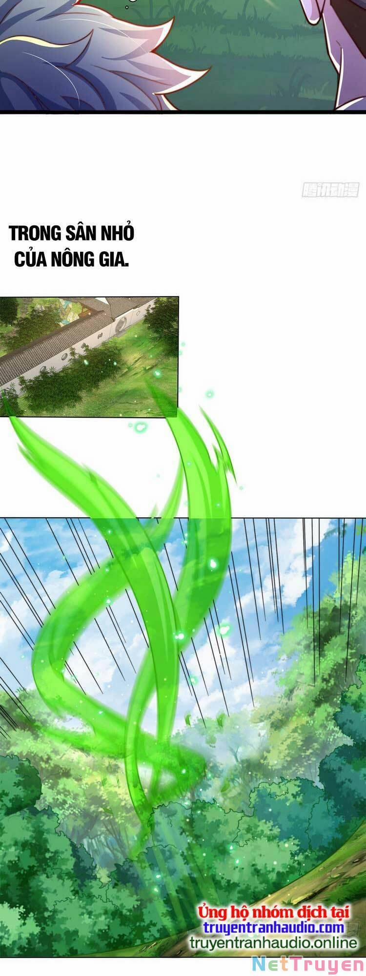 Cường Giả Tuyệt Thế Chỉ Muốn Làm Ruộng 40 trang 5