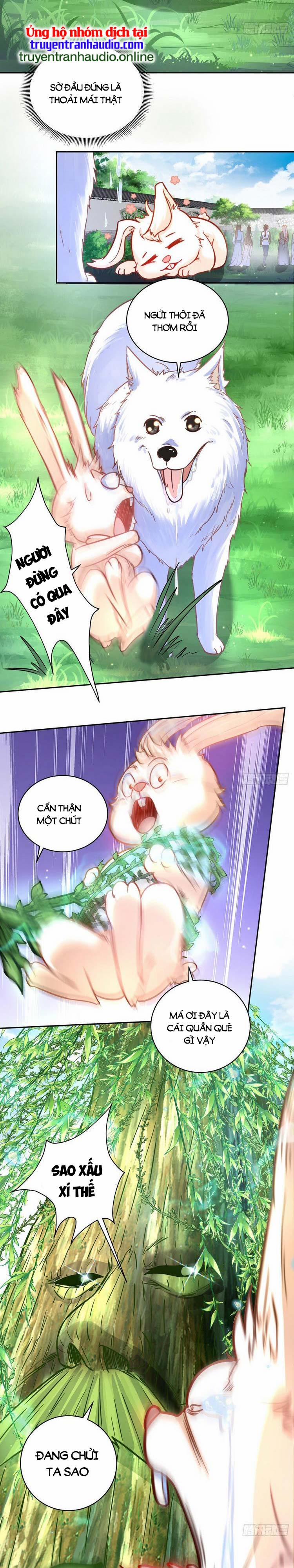 Cường Giả Tuyệt Thế Chỉ Muốn Làm Ruộng 8 trang 15