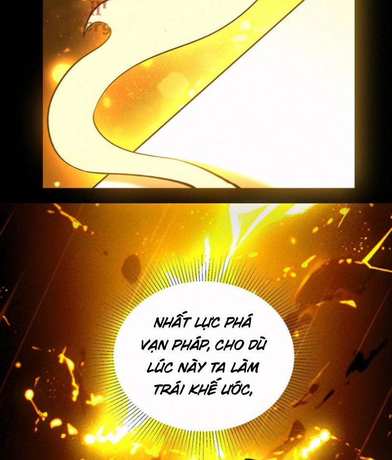 Cướp Đoạt Vô Số Thiên Phú, Ta Trở Thành Thần Ở Thời Đại Toàn Dân Chuyển Chức 91 trang 32