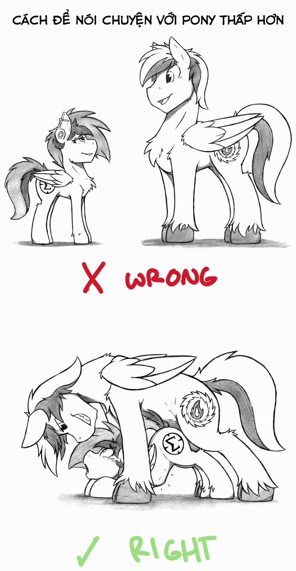 Cutie Mark Check-Up! 1 trang 13