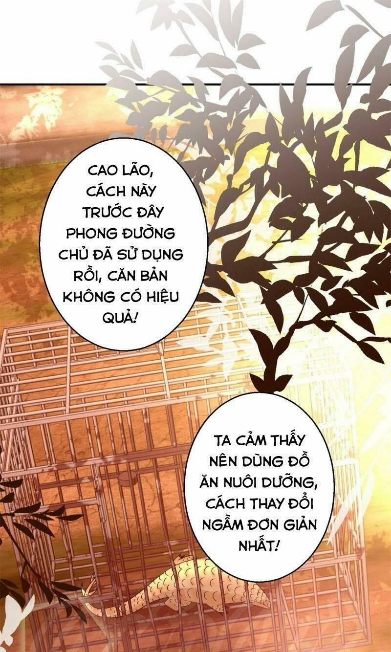 Cửu Dương Đế Tôn 154 trang 0