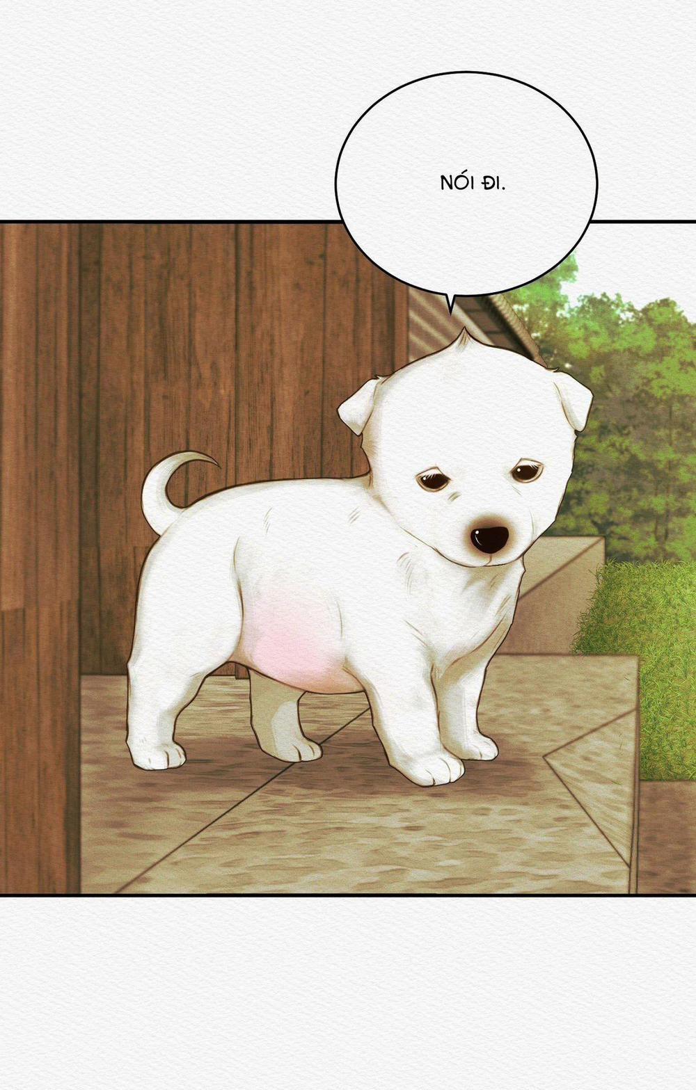 Củy Dạ Khút 51 trang 81