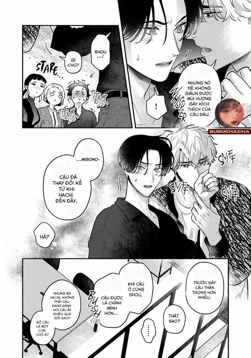 Đã Đến Lúc Tỏa Hương 2 trang 15