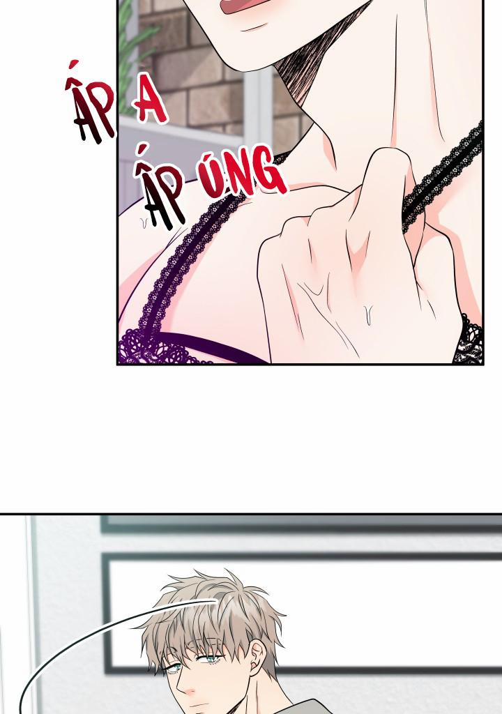 ĐÃ GIAO HÀNG 22 trang 51