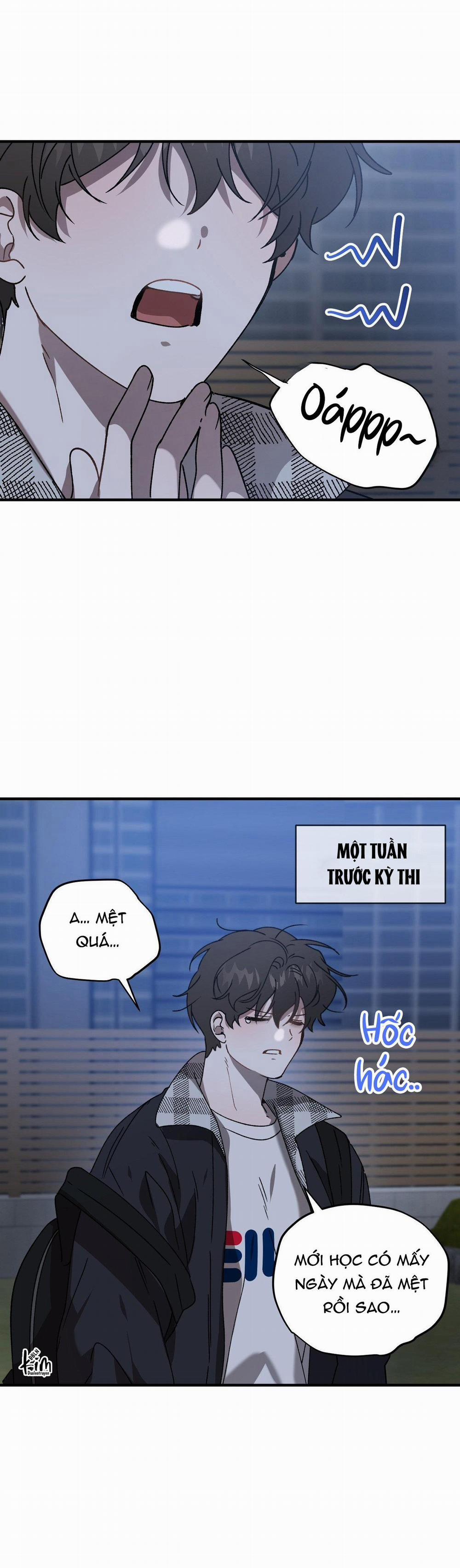 Đã Hiểu Chưa 65 trang 11