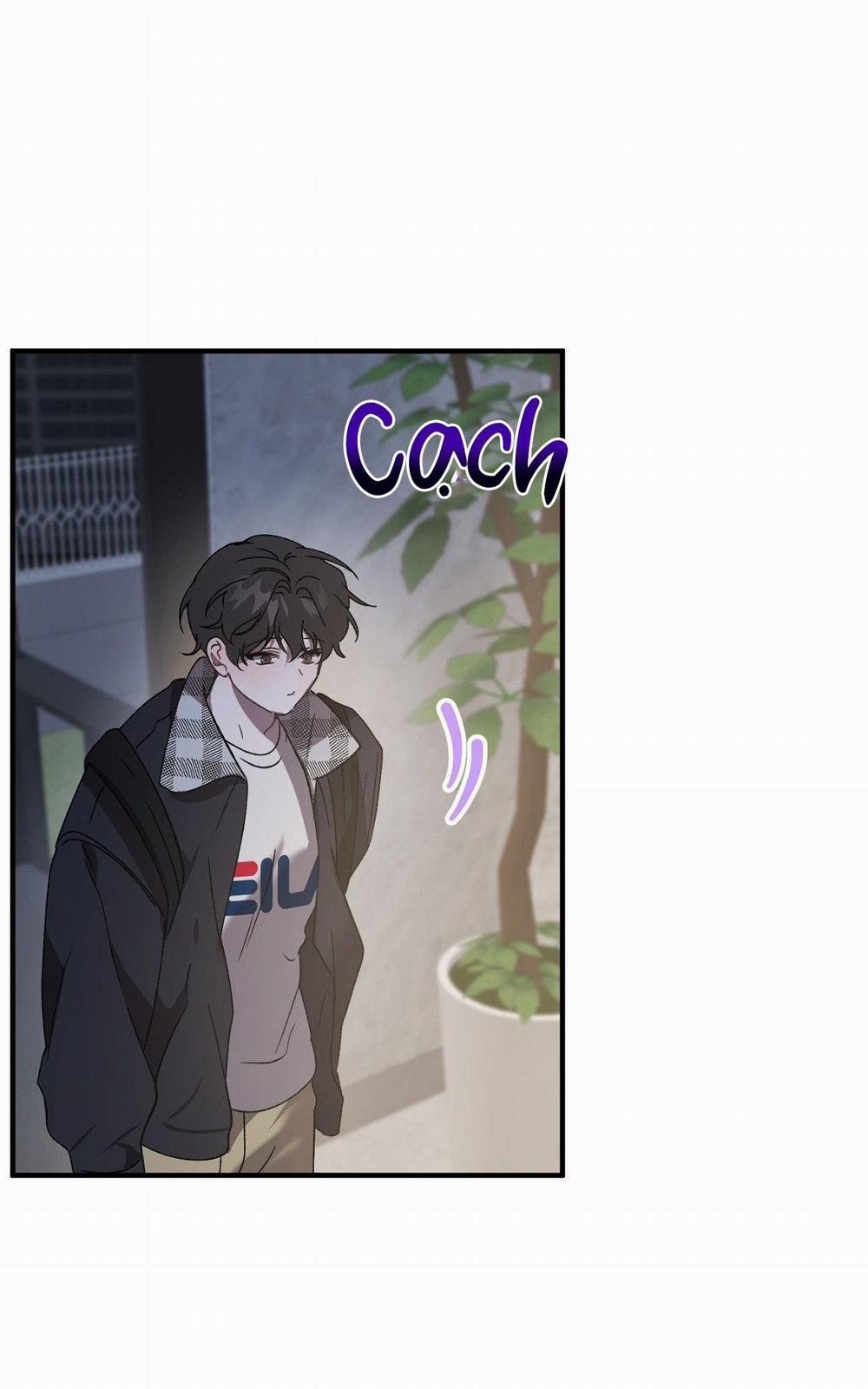 Đã Hiểu Chưa 65 trang 12