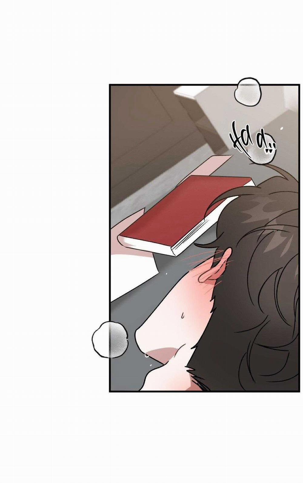 Đã Hiểu Chưa 66 trang 32