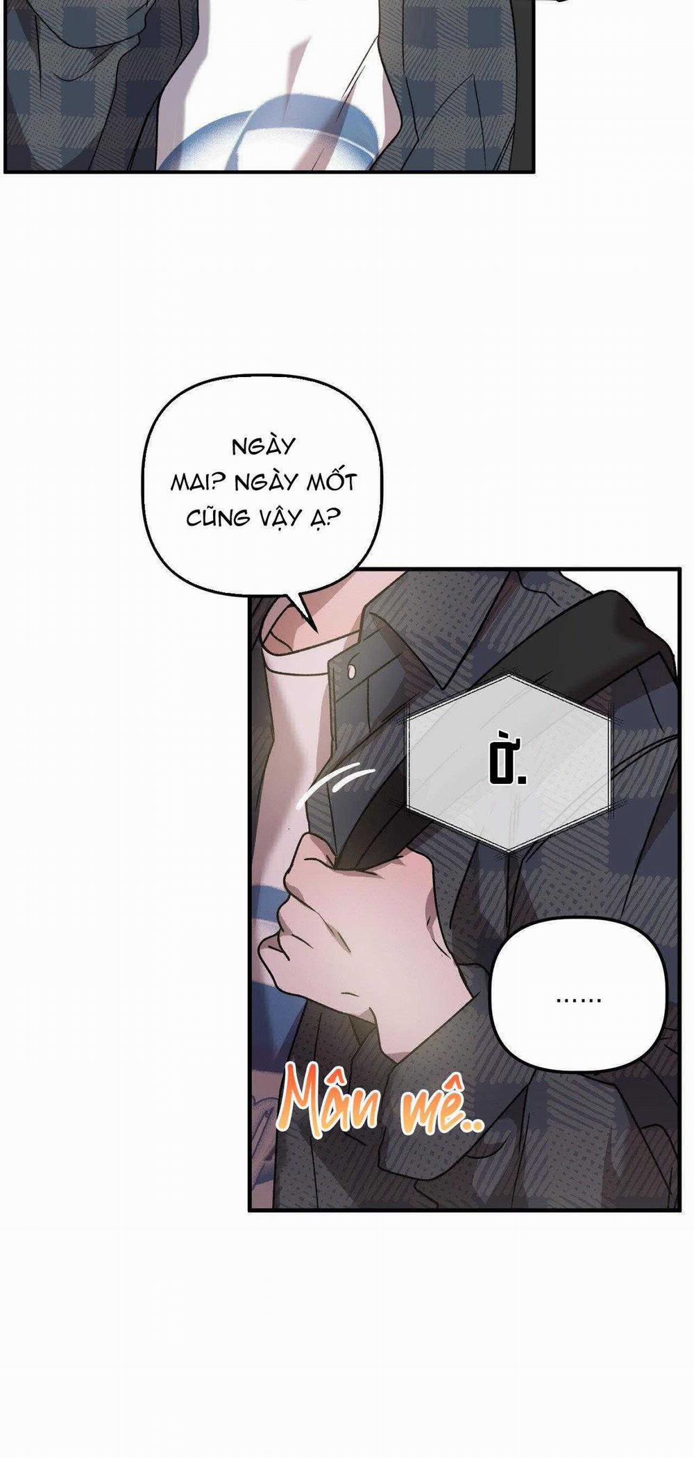 Đã Hiểu Chưa 67 trang 13