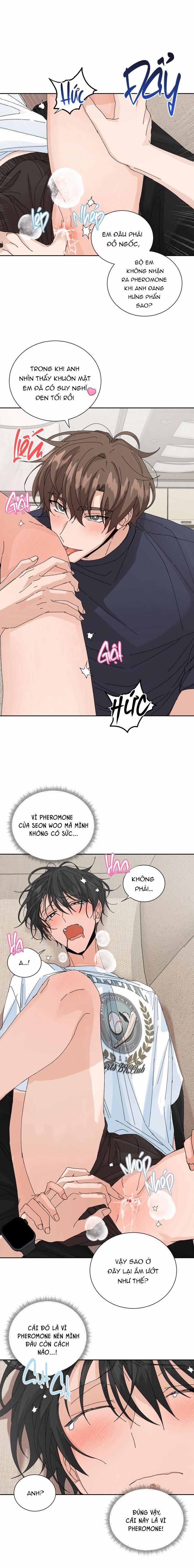 ĐẶC QUYỀN CHO CẶP ĐÔI MỚI CƯỚI 26 trang 3