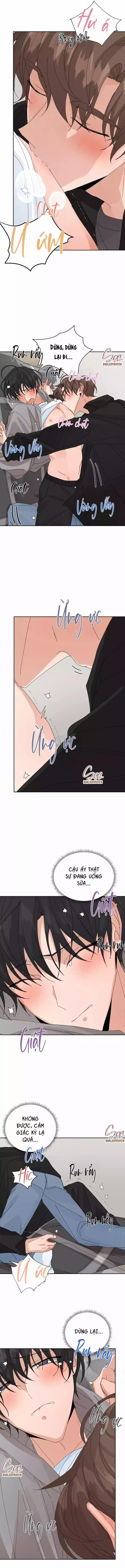 ĐẶC QUYỀN CHO CẶP ĐÔI MỚI CƯỚI 41 trang 5