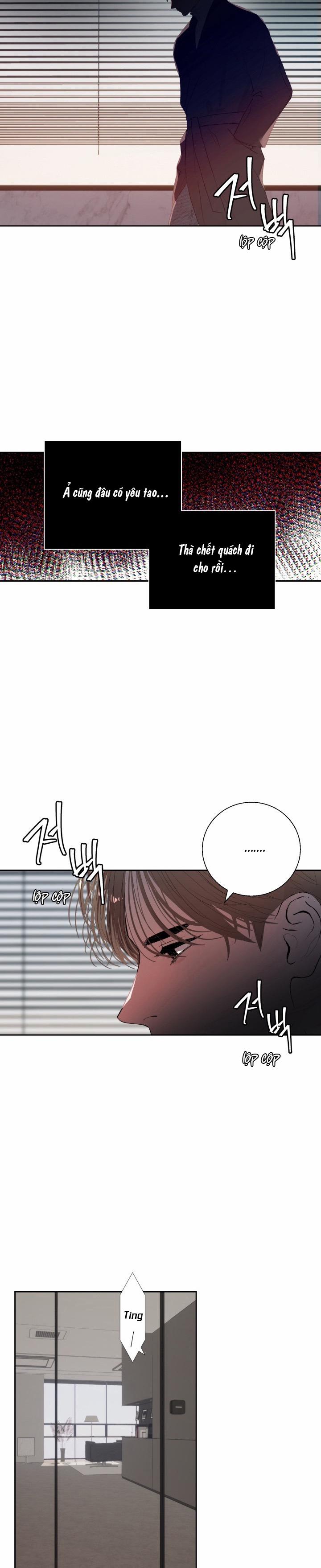 Daddy X Của Tôi 10 trang 11