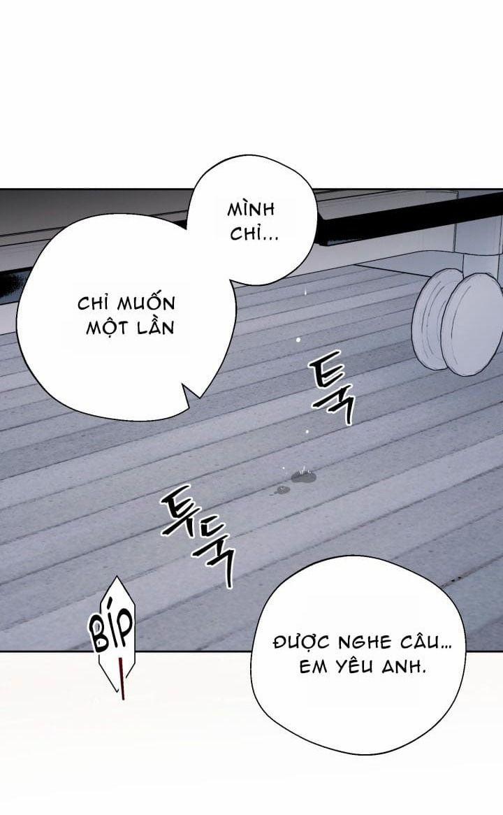 Daddy X Của Tôi 13 trang 49