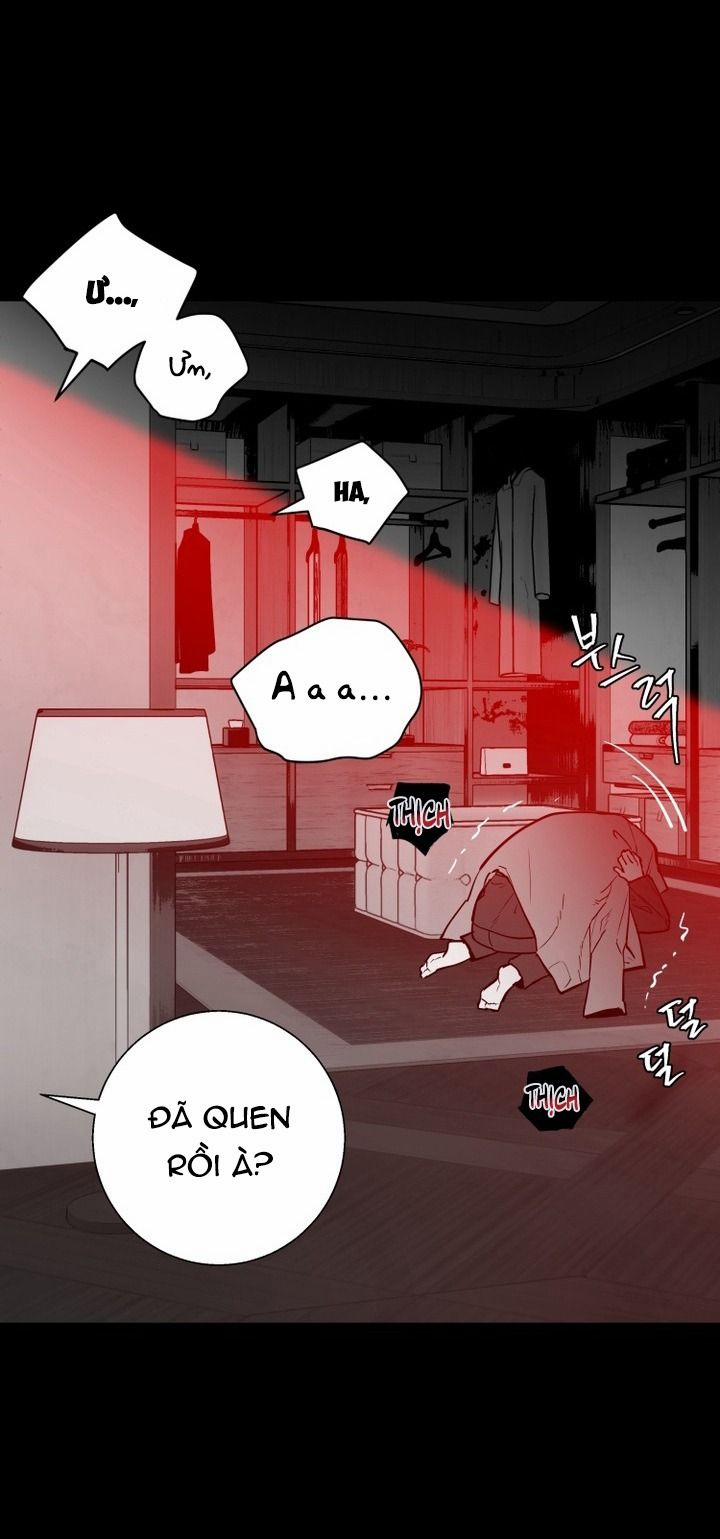 Daddy X Của Tôi 17 trang 2