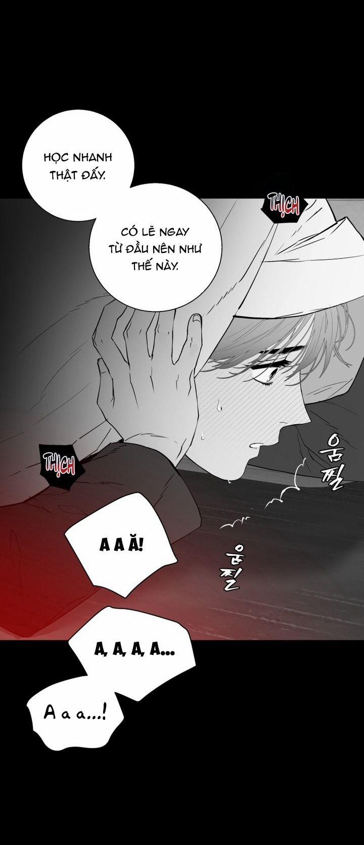 Daddy X Của Tôi 17 trang 3