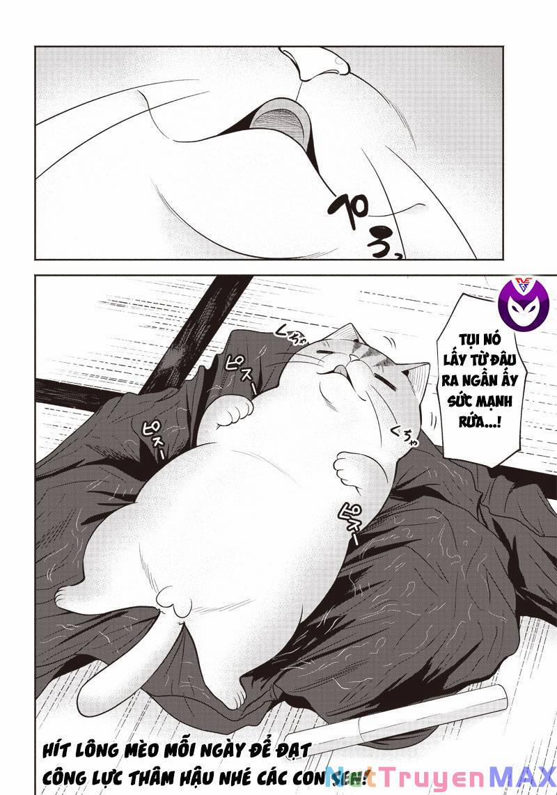 Đại Ca Băng Mèo Mướp 2 trang 18