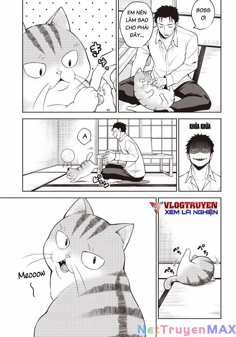 Đại Ca Băng Mèo Mướp 2 trang 5