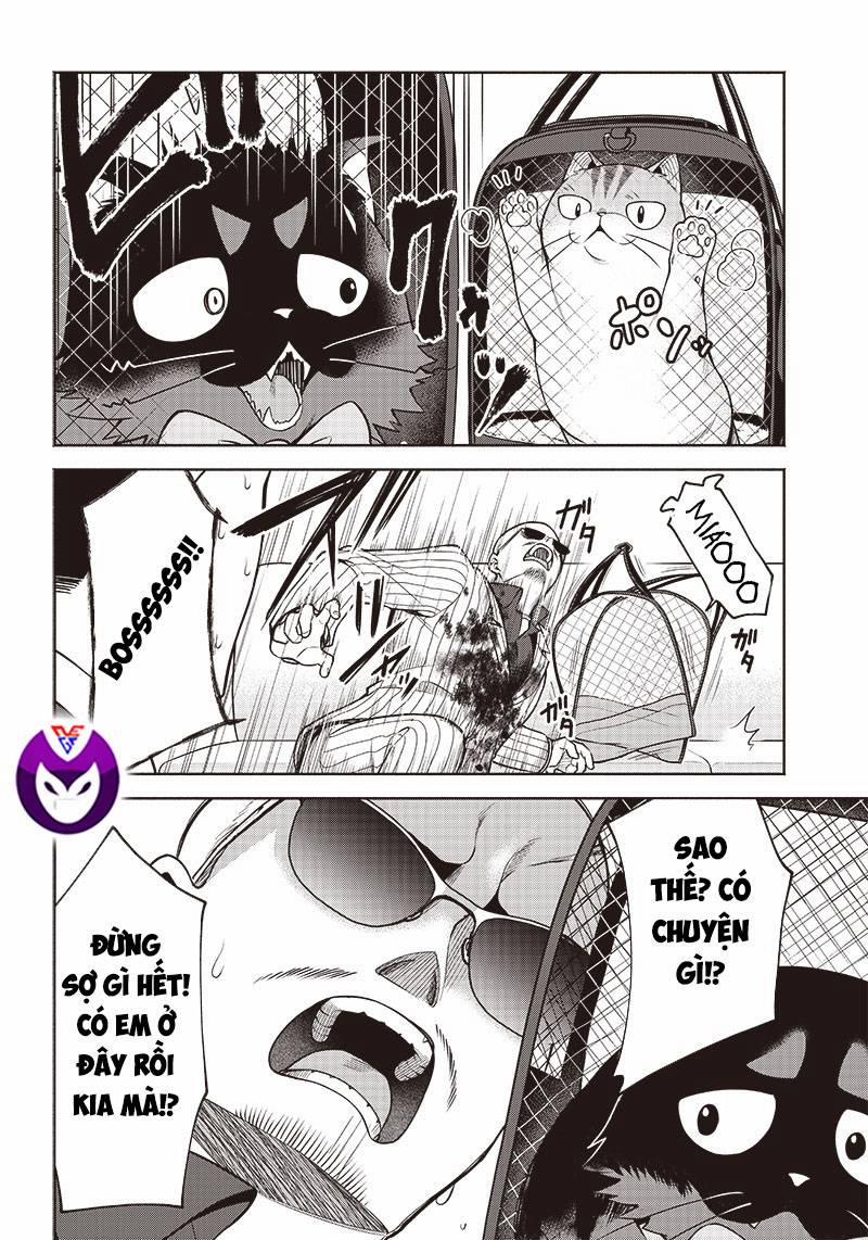 Đại Ca Băng Mèo Mướp 3 trang 9