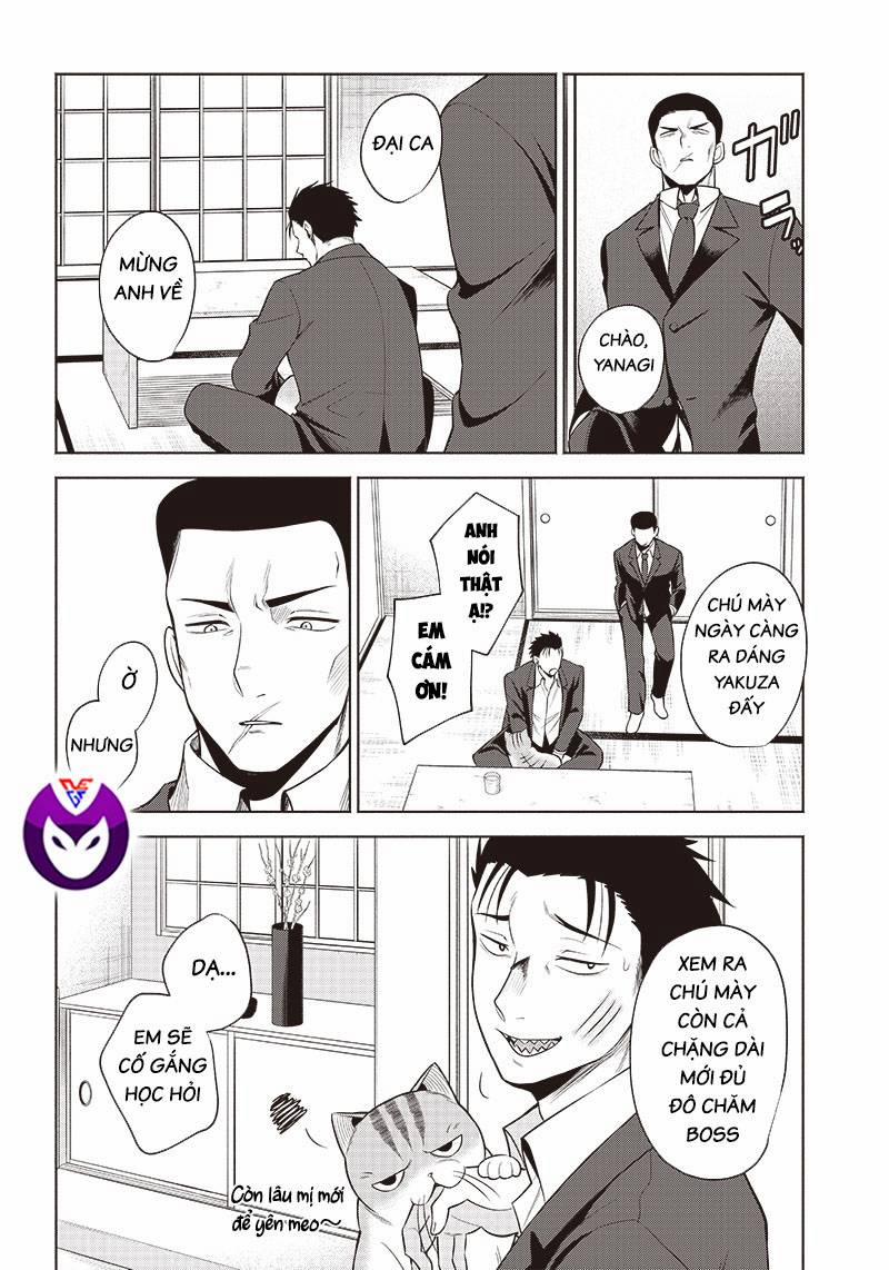 Đại Ca Băng Mèo Mướp 5 trang 9