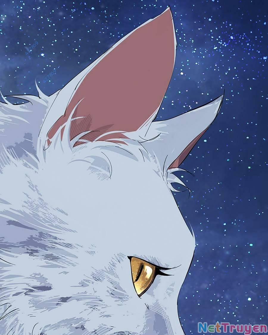 Đại Đạo Triều Thiên 73 trang 72