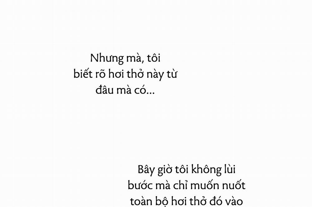 Dải Hợp Âm Trên Đại Dương Xanh 37 trang 98