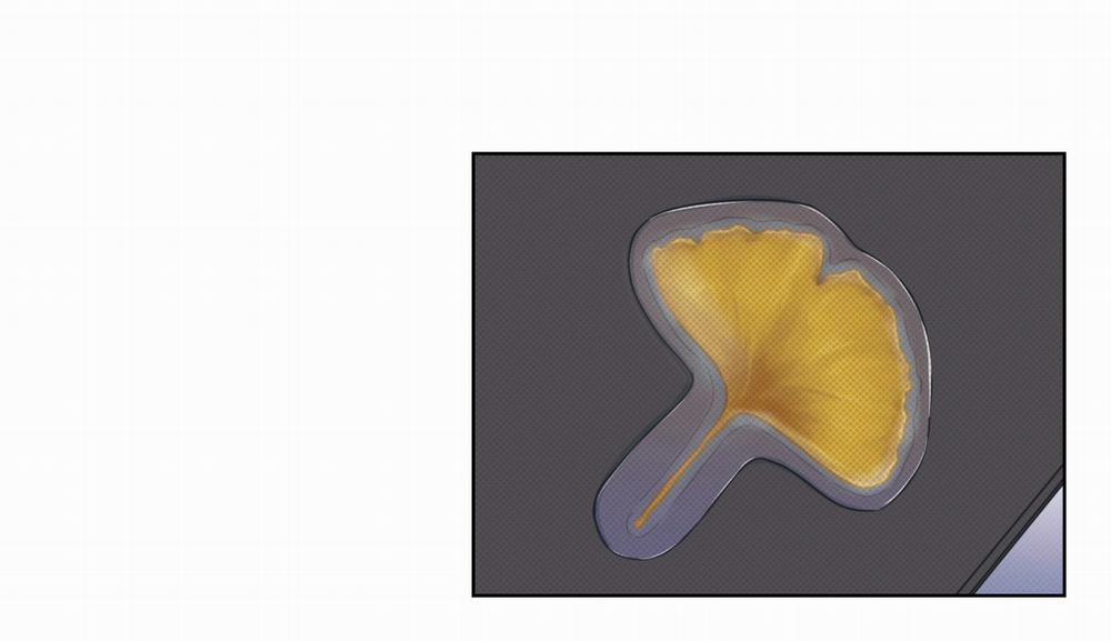 Dải Hợp Âm Trên Đại Dương Xanh 6 trang 157