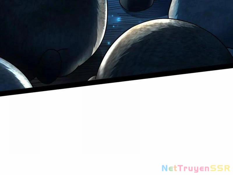 Đại Liên Minh Phản Xuyên Việt Của Bạo Quân 79 trang 79