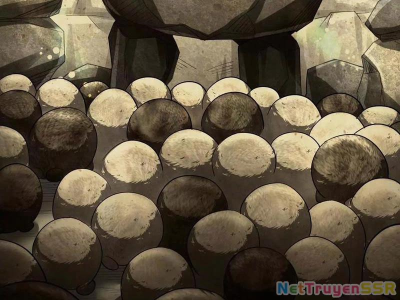 Đại Liên Minh Phản Xuyên Việt Của Bạo Quân 81 trang 66